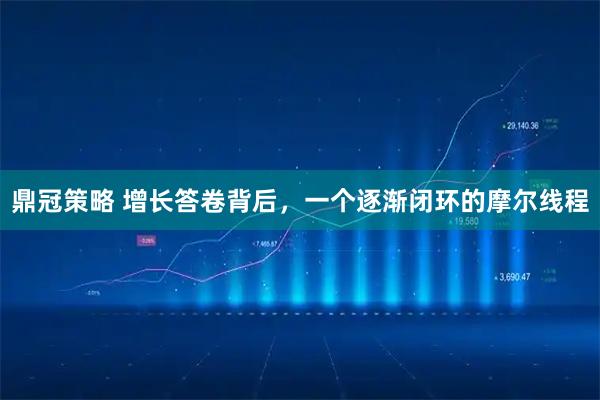鼎冠策略 增长答卷背后，一个逐渐闭环的摩尔线程