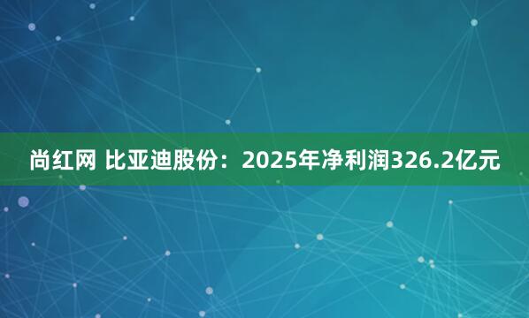 尚红网 比亚迪股份：2025年净利润326.2亿元