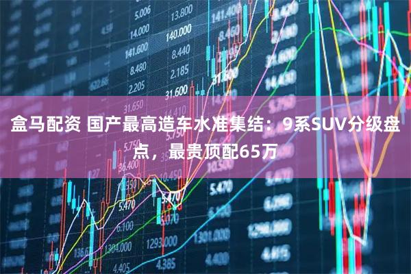 盒马配资 国产最高造车水准集结：9系SUV分级盘点，最贵顶配65万